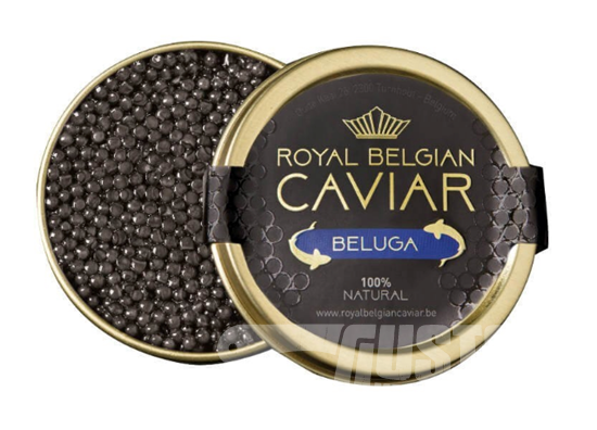Royal Belgian Caviar BELUGA 50gr. GUSTOR Meat Boutique