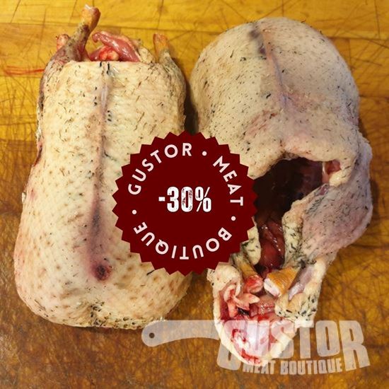 Picture of Wild duck (1)